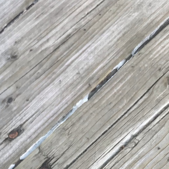 Meet your Posher, Melody - Picture 1 of 1